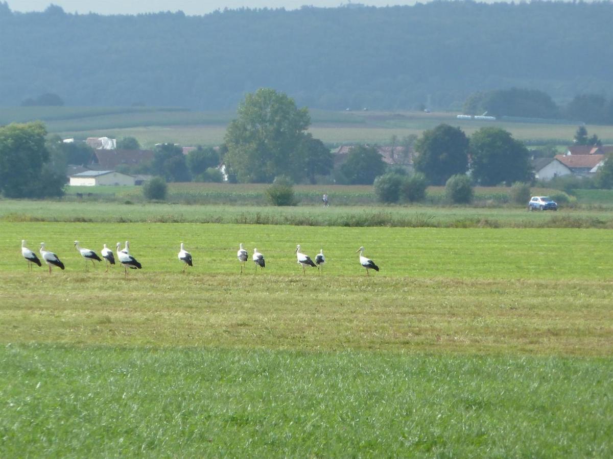 Alte Schmiede * Kirchhain